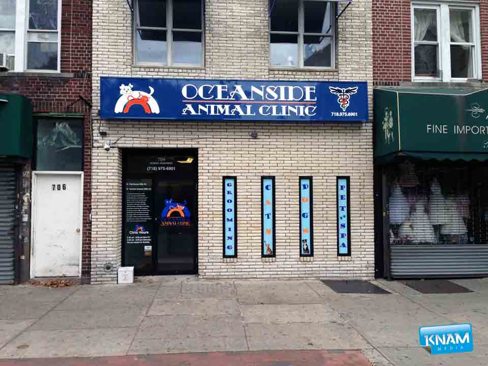 Window, Wall and Door Decals print & install in Brooklyn, NY by KNAM