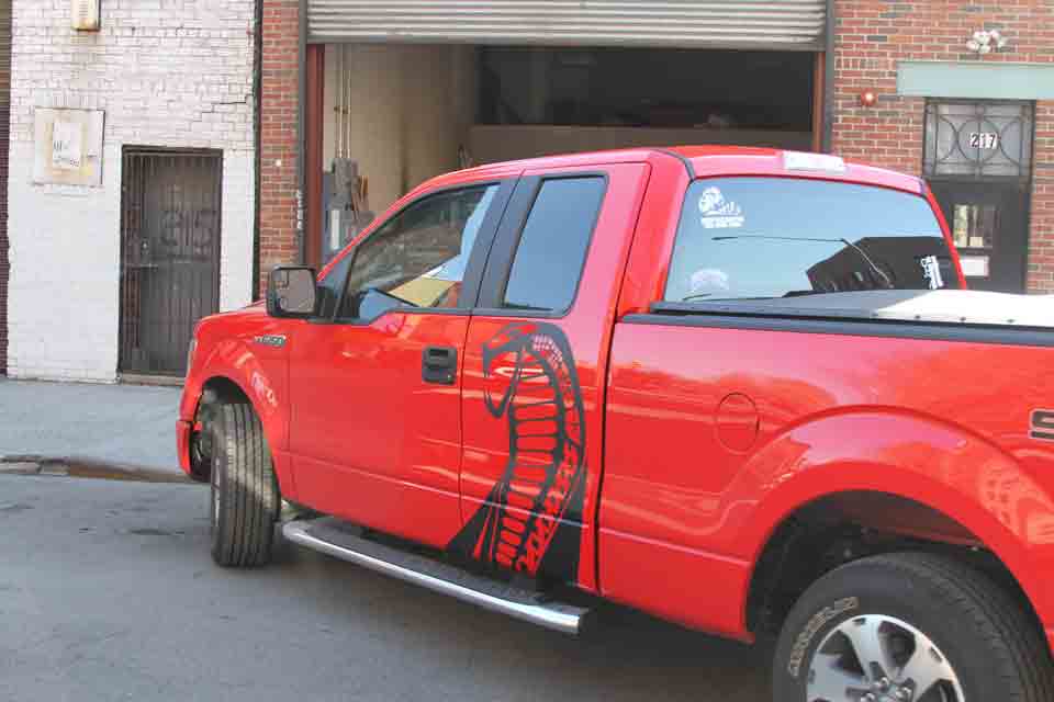 Ford F150 Cobra Decals in Brooklyn, NY by KNAM